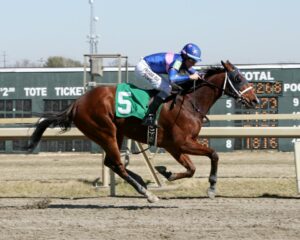 Bridlecrest